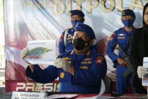 IMG-20220412-WA0196_copy_400x267