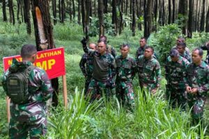 IMG-20240121-WA0208_copy_640x426