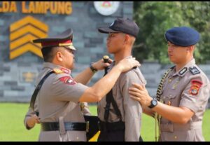 Screenshot_2024-02-13-19-33-55-98_40deb401b9ffe8e1df2f1cc5ba480b12_copy_800x552