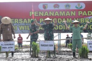 IMG-20240303-WA0247_copy_800x533