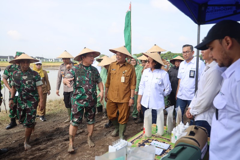 IMG-20240303-WA0346_copy_800x533