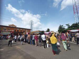 IMG-20240307-WA0217_copy_800x600