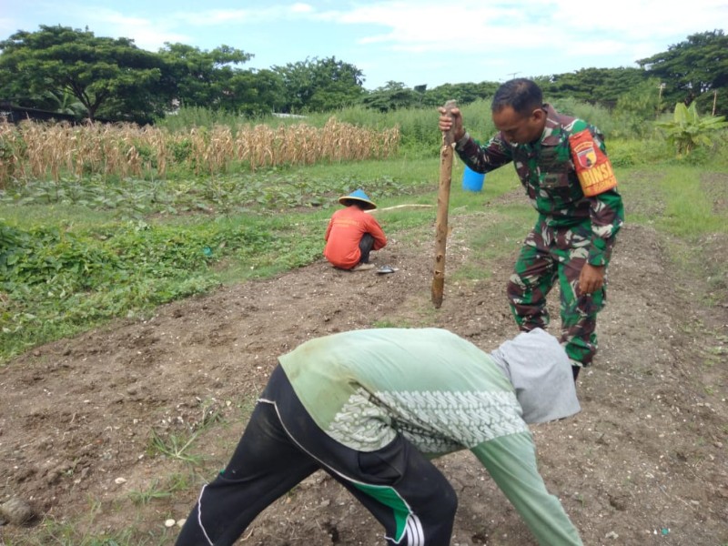 IMG-20240418-WA0650_copy_800x600