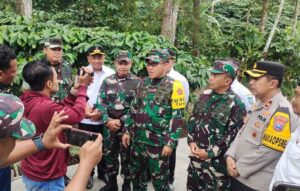 IMG-20240515-WA0075_copy_800x508