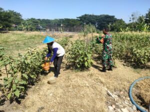 IMG-20240517-WA0067_copy_800x600