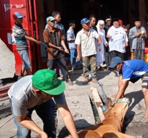 1000036515_copy_800x750