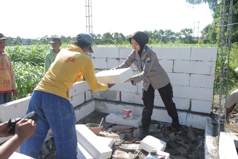 IMG-20240615-WA0041_copy_800x533