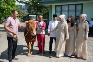 IMG-20240617-WA0058_copy_640x426