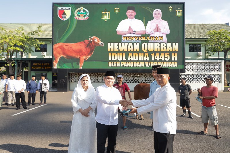 IMG-20240617-WA0136_copy_800x533