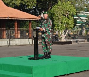 IMG-20240717-WA0208_copy_800x692