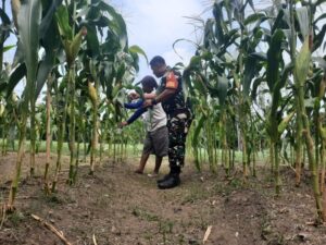 IMG-20240724-WA0138_copy_800x600