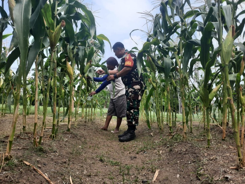 IMG-20240724-WA0138_copy_800x600