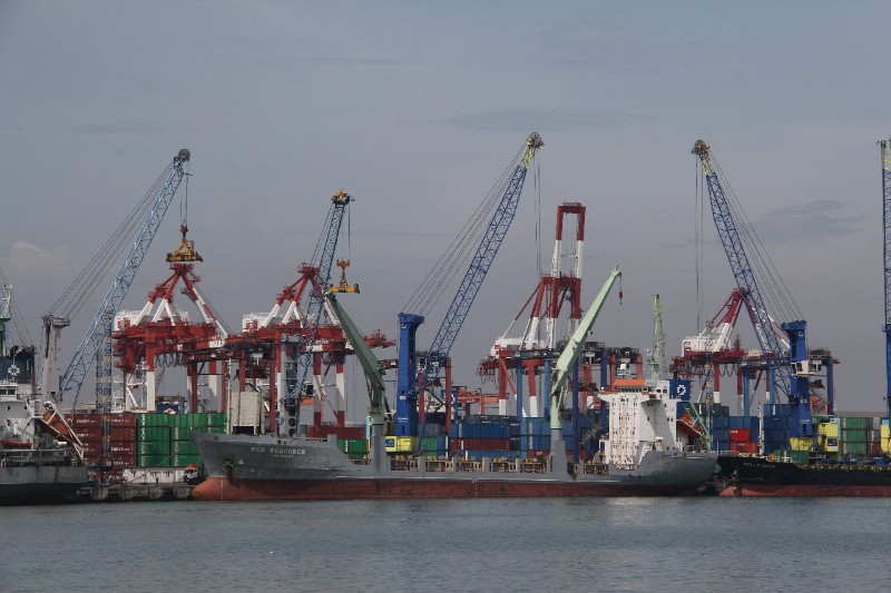 IMG-20240813-WA0289_copy_800x533