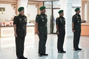 IMG-20240814-WA0430_copy_800x533