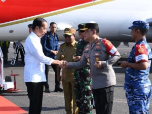 IMG-20240826-WA0299_copy_800x600