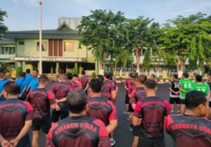 IMG-20241119-WA0254_copy_800x556