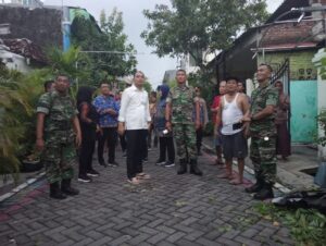 IMG-20241130-WA0186_copy_800x602