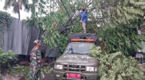 IMG-20241130-WA0420_copy_800x441