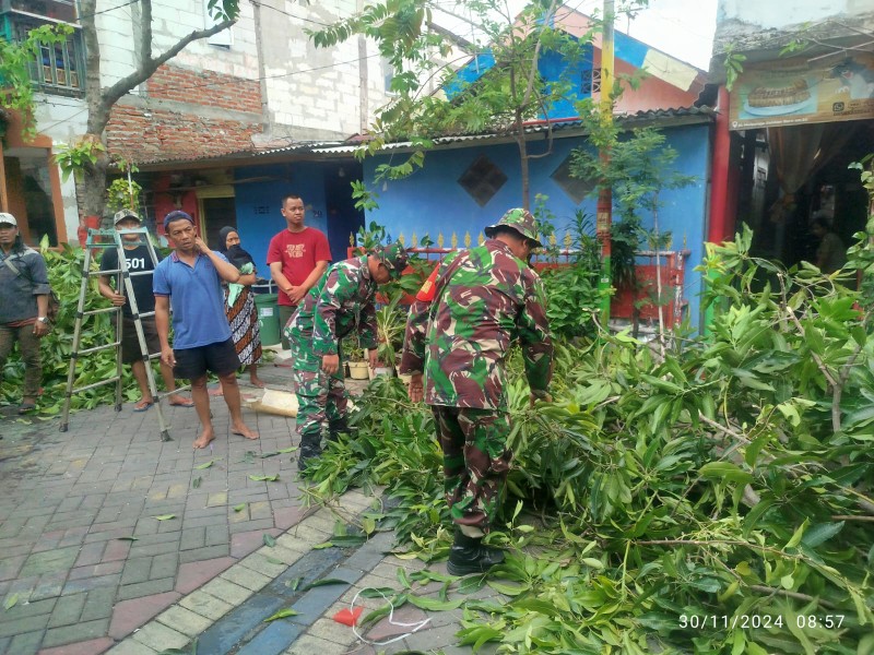 IMG-20241130-WA0215_copy_800x600