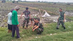 IMG-20241202-WA0317_copy_800x450