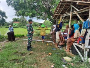 IMG-20241202-WA0324_copy_800x600