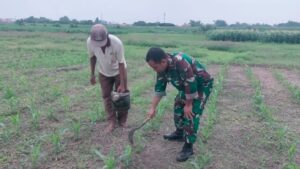 IMG-20241205-WA0551_copy_800x450