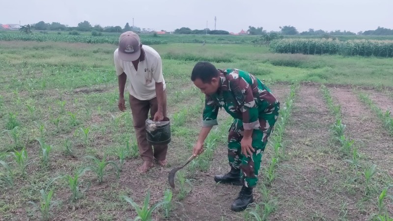 IMG-20241205-WA0551_copy_800x450