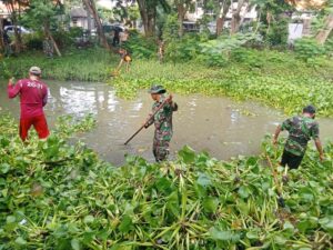 IMG-20241213-WA0280_copy_800x600