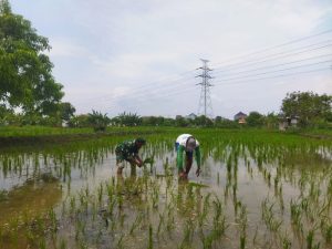 IMG-20250107-WA0251_copy_800x600