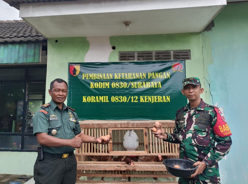 IMG-20250205-WA0193_copy_800x594